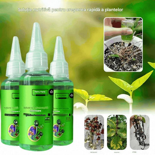 🌿 【3 Buc】Soluție nutritivă cu acțiune rapidă pentru plante -Soluție universală de înrădăcinare pentru toate plantele