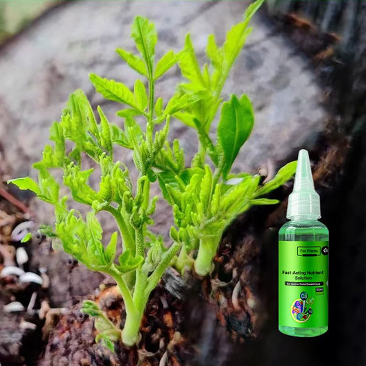 🌿 【3 Buc】Soluție nutritivă cu acțiune rapidă pentru plante -Soluție universală de înrădăcinare pentru toate plantele