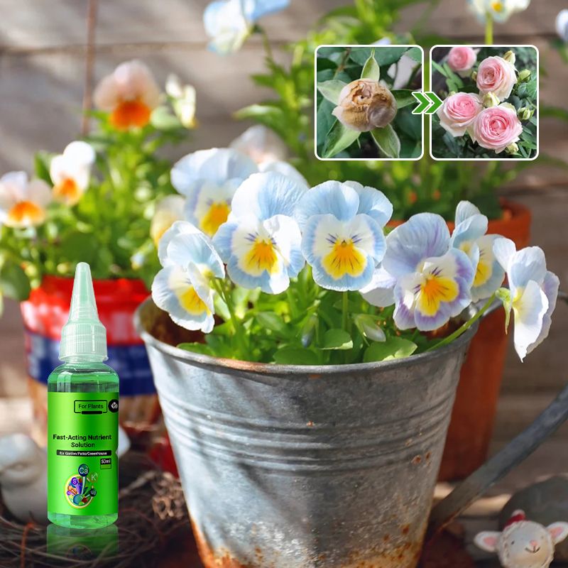 🌿 【3 Buc】Soluție nutritivă cu acțiune rapidă pentru plante -Soluție universală de înrădăcinare pentru toate plantele
