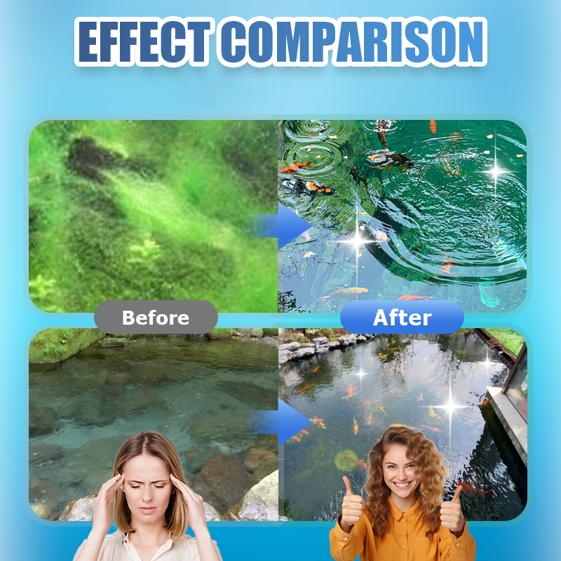 🐟🌊🔬【500g】 Pudră Premium pentru Iaz | Clarificator de Apă și Control al Algelor 🐟🌊🔬